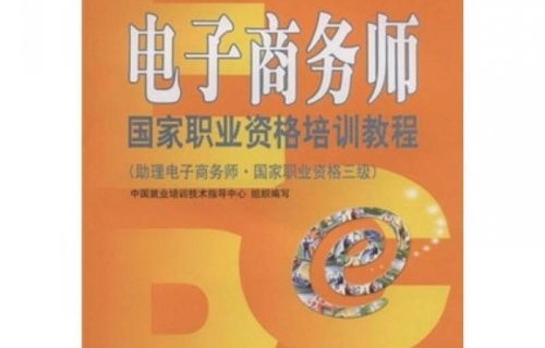 电子商务师专业解读书籍