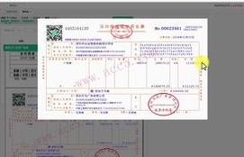 电子商务师跟会计专业
