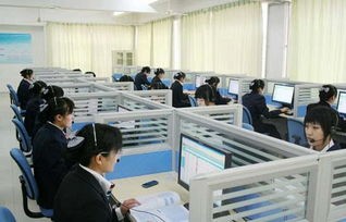 电子商务是啥专业大类