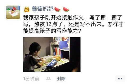 电子商务专业童荒村恶童