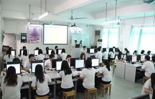电子商务专业做程序员