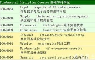 电子商务专业能选吗考研