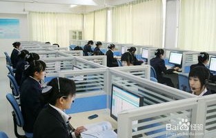怎么样学好电子商务专业